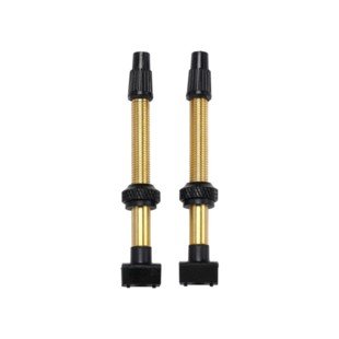 BBB BTI-159 Tubeless Ventiel Vervangbare Kern 2 Pcs mm Messing