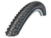 Schwalbe bub 29x2.10 rapid rob kg Zwart