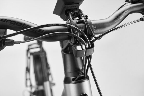 Diamant Suvea Trip Plus (600 Wh) LEHMBEIGE 2026