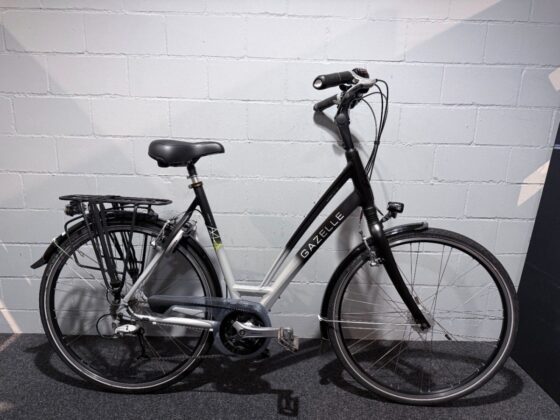 Gazelle Chamonix Grijs Dames 2020