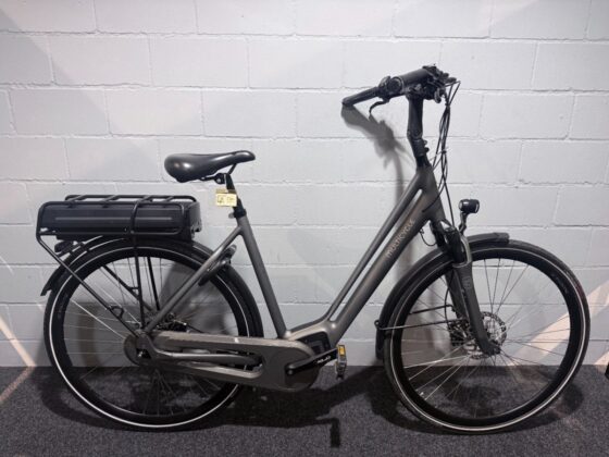 Multicycle Voyage Grijs Dames 2020