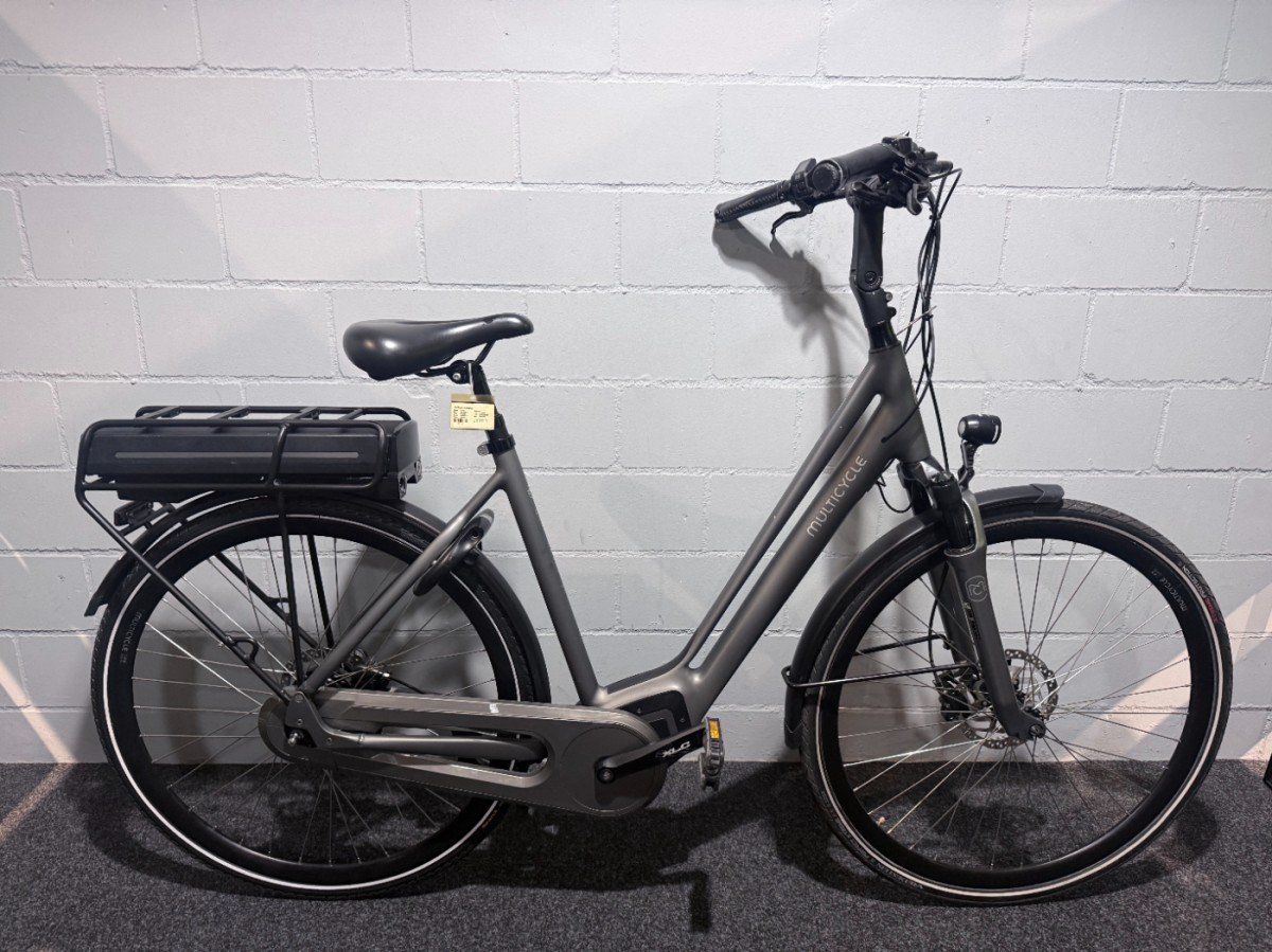 Multicycle Voyage Grijs Dames 2020