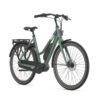 Gazelle Esprit C7 Moss Green Mat Dames 2023
