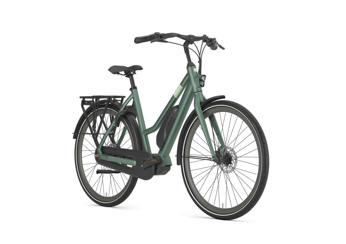 Gazelle Esprit C7 Moss Green Mat Dames 2023