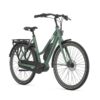 Gazelle Esprit C7 Moss Green Mat Dames 2023