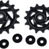 Sram derailleurwielen x0 t-type eagle axs Zwart