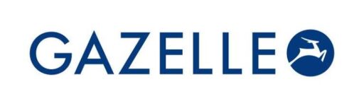 Gazelle Grenoble C8 HMB Heren Zwart Heren 2021