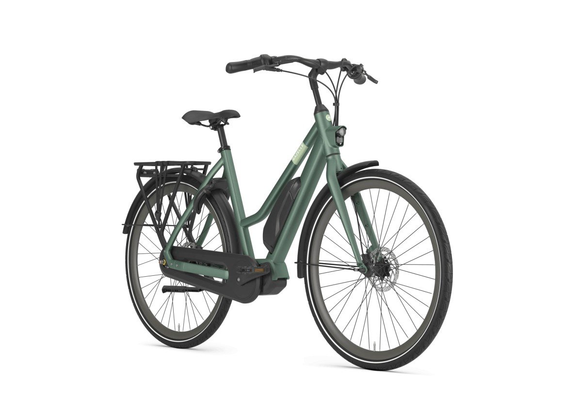 Gazelle Esprit C7 Moss Green Mat Dames 2023