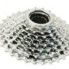 Sunrace freewheel 9 speed e-bike chrome Chroom